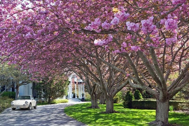 The Hamilton Hoppin House, Villa 120 Newport, Ri 米德尔敦 外观 照片